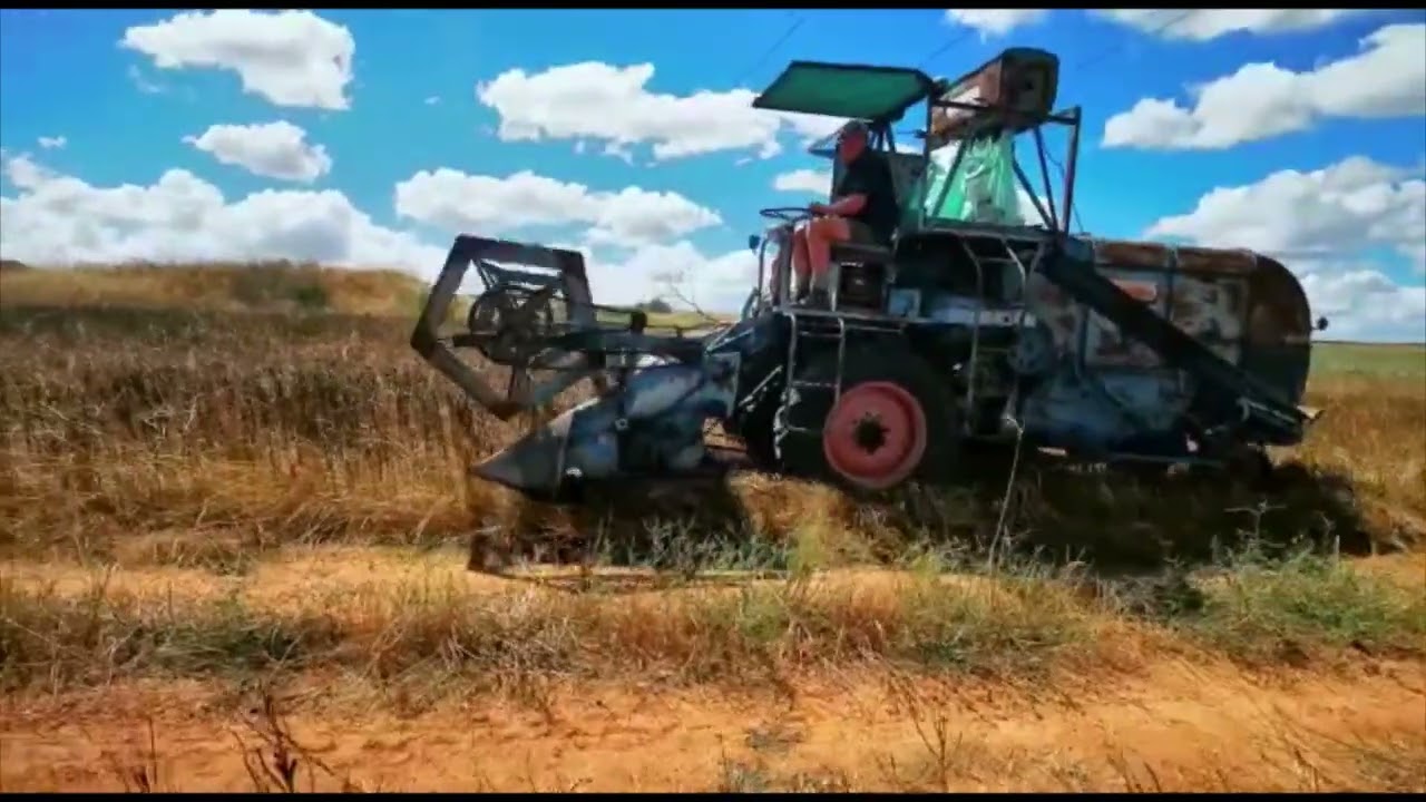 Ransomes and Massey Fergusen 892 Combines