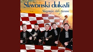 Šokac