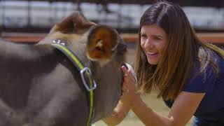 What Does Sustainable Farming Look Like? | On Her Farm