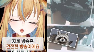 건전한 방송을 추구합니다