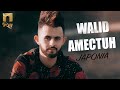 Walid amechtuh  japonia   music