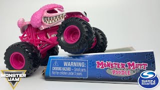 MIX 10 2020 Preview | Monster Mutt Poodle