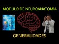 Neuroanatomía: Clase 1 "Generalidades" (Parte 1)