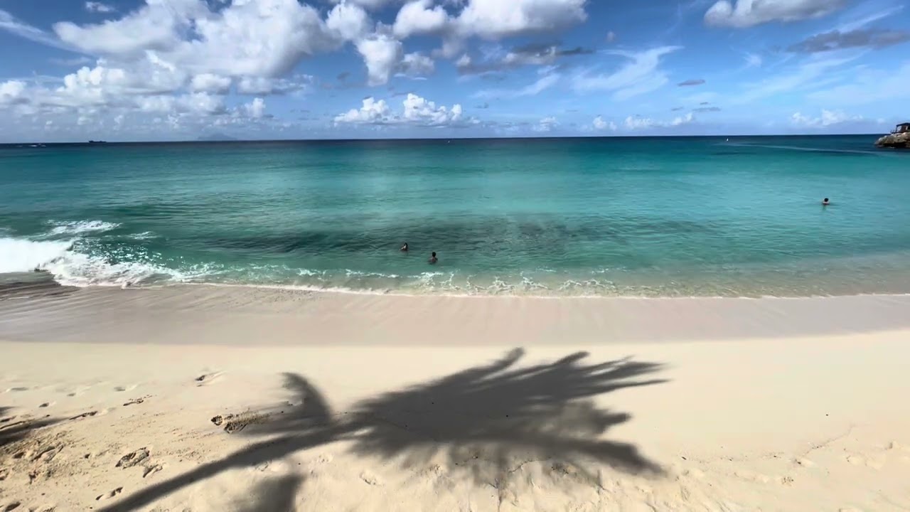 IREteam Website Video Kids on the beach