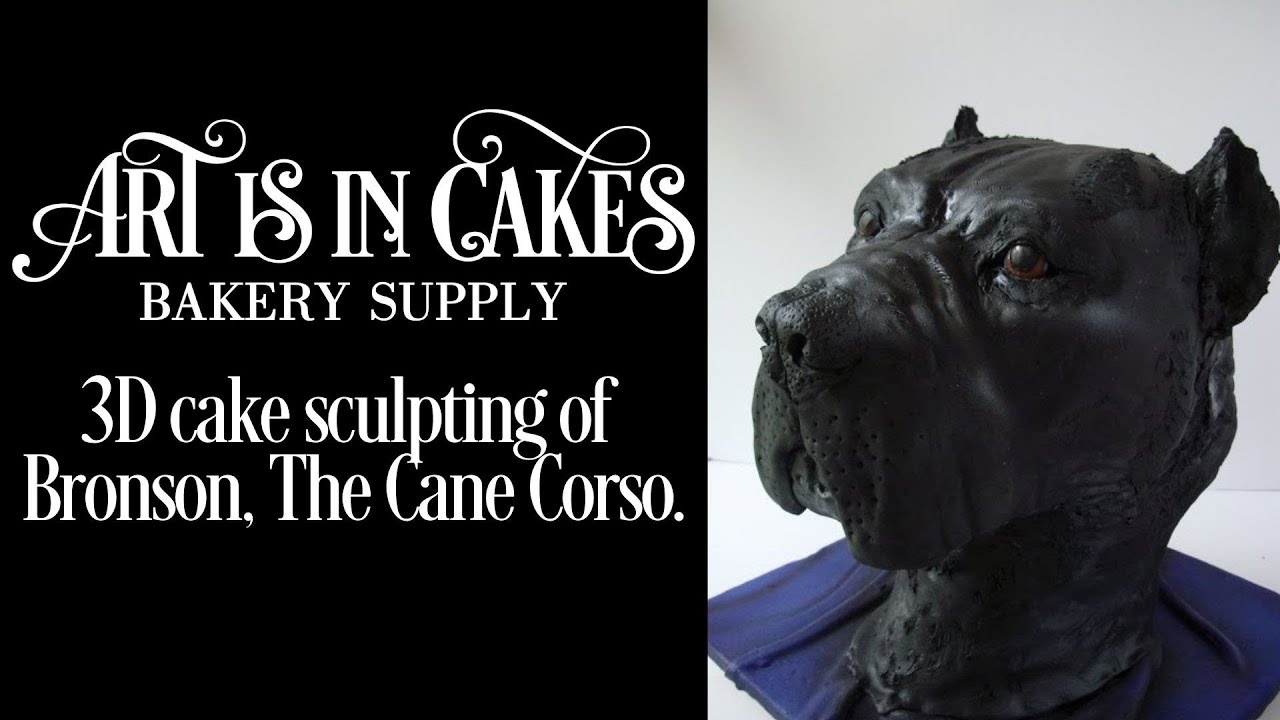 Bronson The Cane Corso 3d Sculpted Cake Time Lapse Cane Corso Dogs Dog Cake