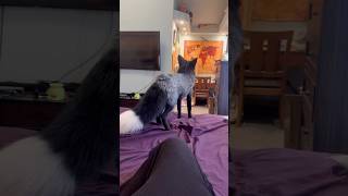 One Sound And I Melted