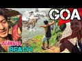 Goa  8 beaches   travel   parties  foreigners  budget   hostel  2020 must watch