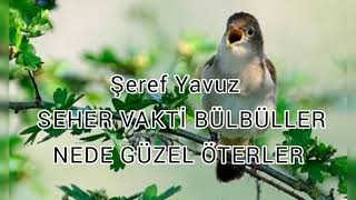 Şeref Yavuz - #SEHER VAKTİ BÜLBÜLLER NEDE GÜZEL ÖTERLER.   #TÜRKİYE #İLAHİDİNLE #TURKEY#İLAHİ#Şeref Resimi