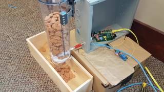 Raspberry Pi dog feeder