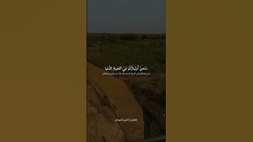 القارئ انس الميمان #القرآن_الكريم