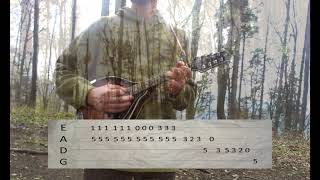 Faun - Ynis Avalach (mandolin cover with tabs)