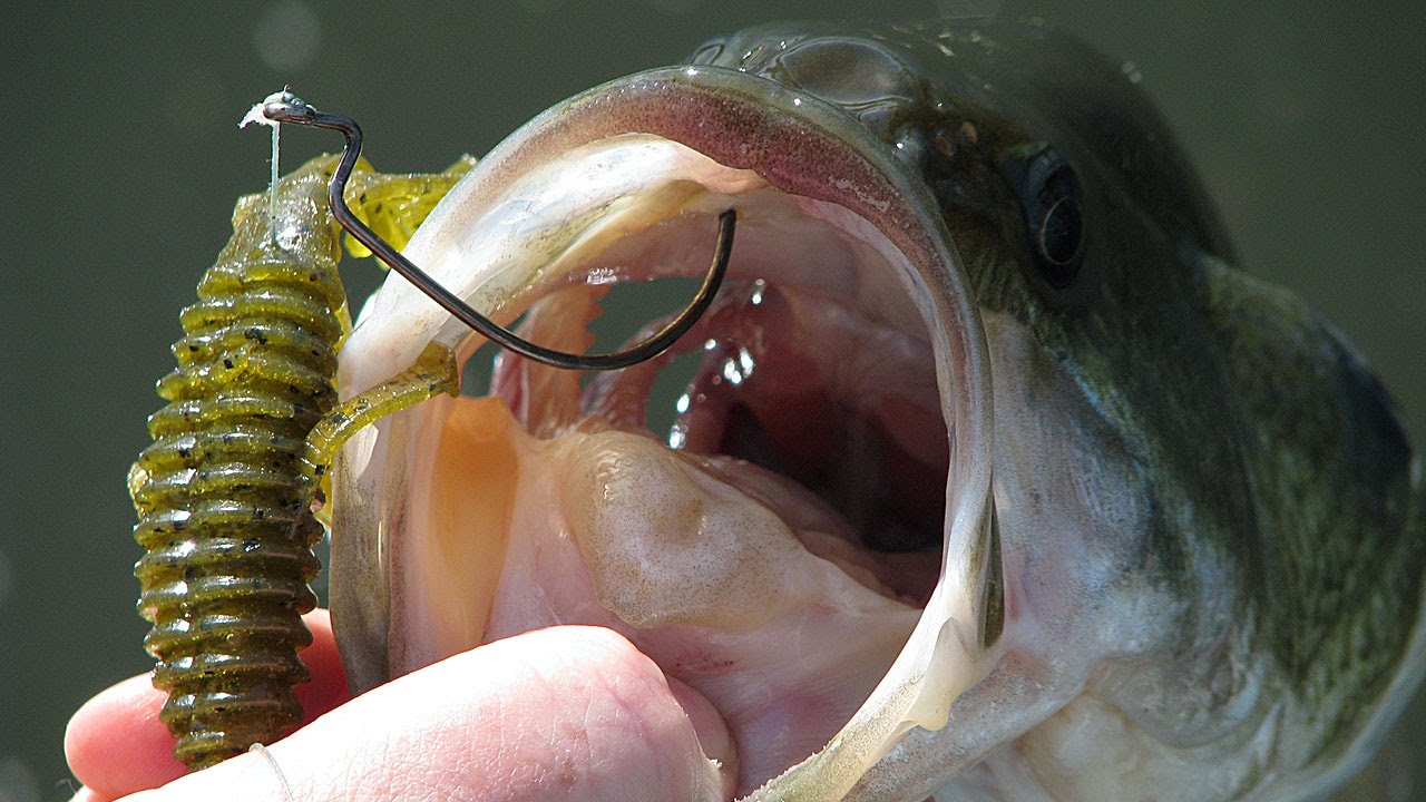 Getting A Bullet Weight Snug Against A Plastic Bait - Fishing
