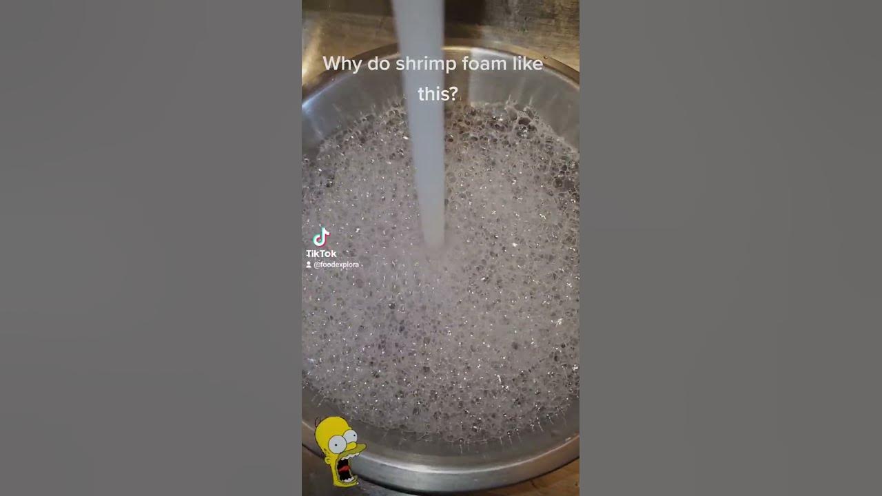 why does shrimp foam when washed