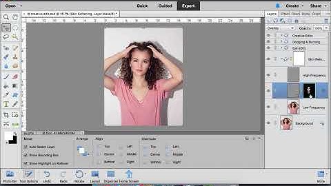 Layer Groups in Photoshop Elements