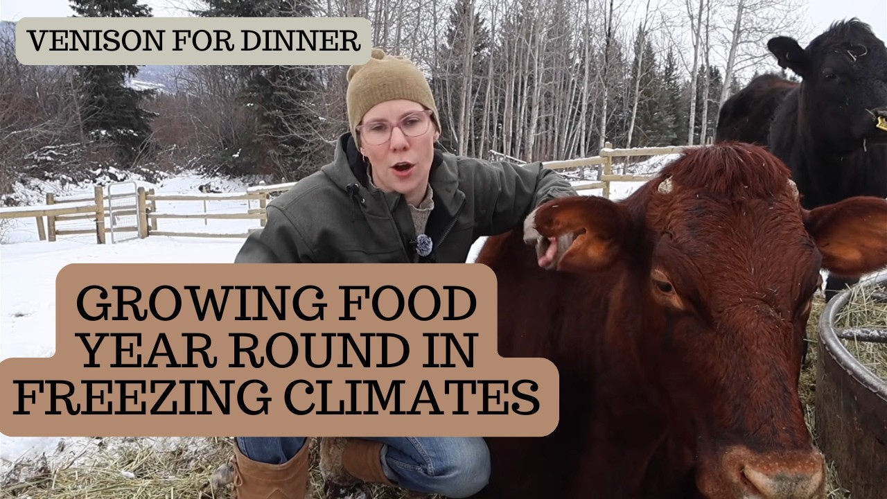 The Trick To Growing Food Year Round In Zone 3 Northern BC Climate