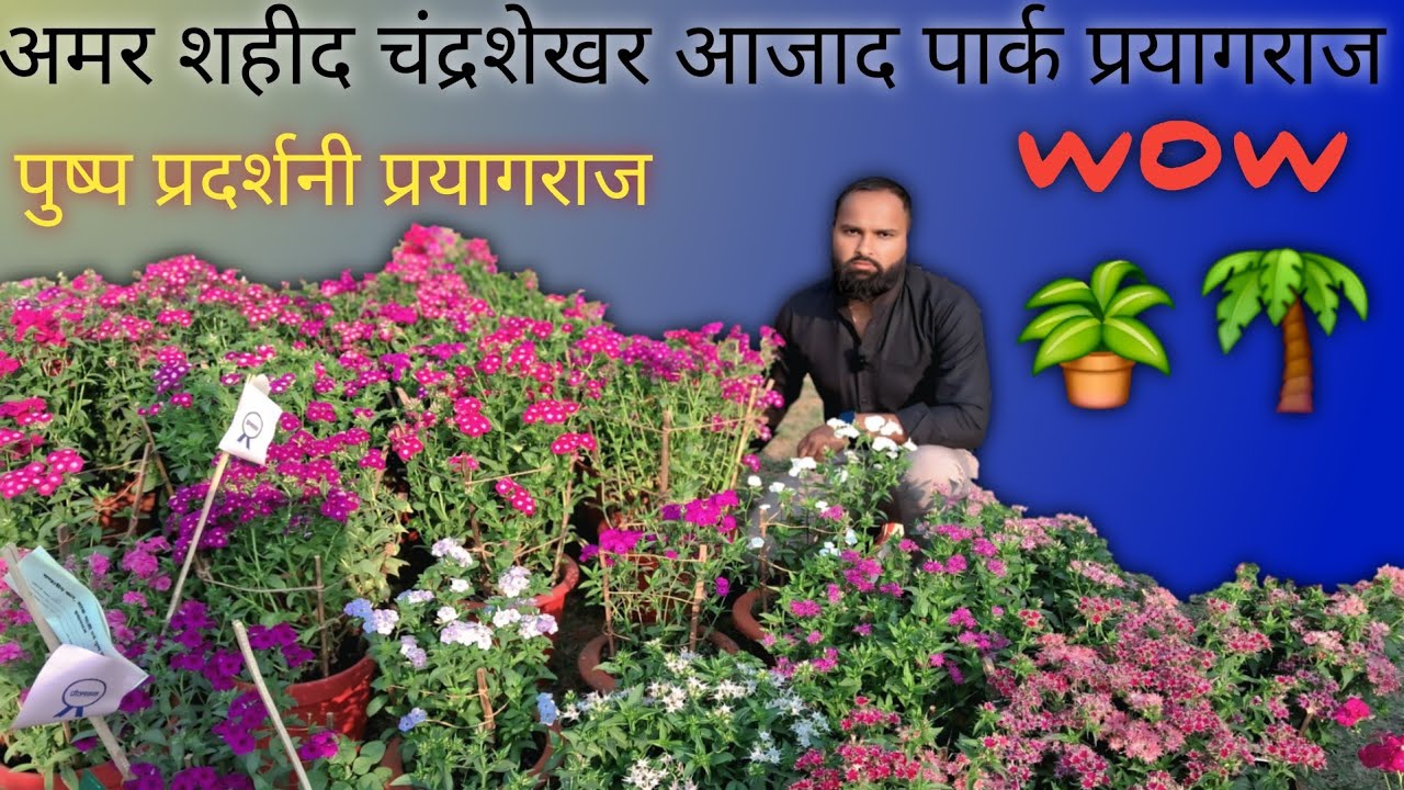 Prayagraj Flower Show: प्रयागराज में प्रदर्शनी में फूलों से लेकर सब्जियां, देखने के लिए उमड़े लोग