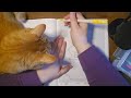 ASMR Relaxing Color by Number | Whispering | Marker Sounds | Cozy Mystery Mosaic 