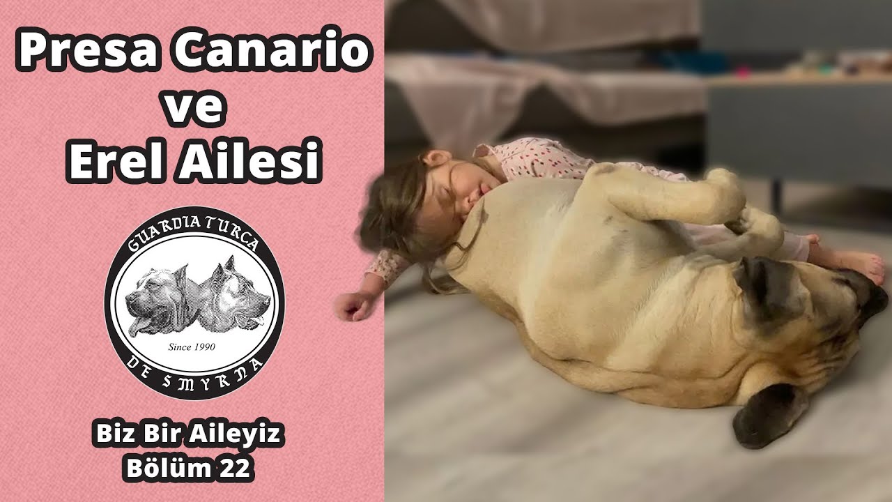 Presa Canario ve Erel Ailesi - Biz Bir Aileyiz Bölüm 22