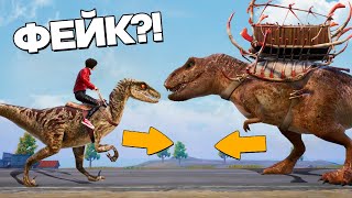 РАЗОБЛАЧЕНИЕ ФЕЙКОВ В ПАБГ МОБАЙЛ! (PUBG Mobile) #251