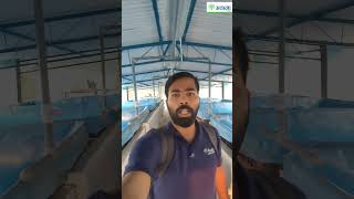 Aquaculture Setup 101: How to Build a Profitable Fish Farm from Scratch