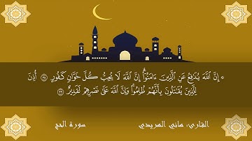 الجزء الثاني من سورة الحج بصوت القارئ هاني الهريدي