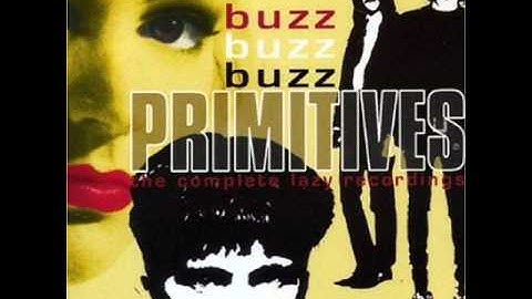 The Primitives - Really Stupid (Janice Long Session 1986)