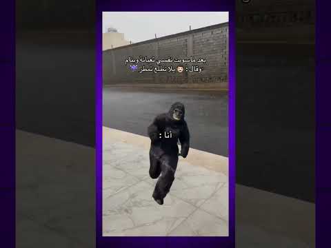 ضحك ميمز مطر اكسبلور تحشيش ضحك ترند قصص ميمز