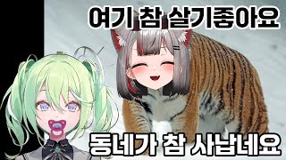 [마인크래프트]리코의 기묘한 만남 우주고양이 마시로편(리코클립)