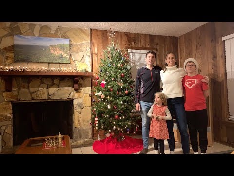 2019-putting-up-the-christmas-tree