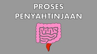 Sains Tahun 4: Penyahtinjaan #cikgooTube #CikguZoul