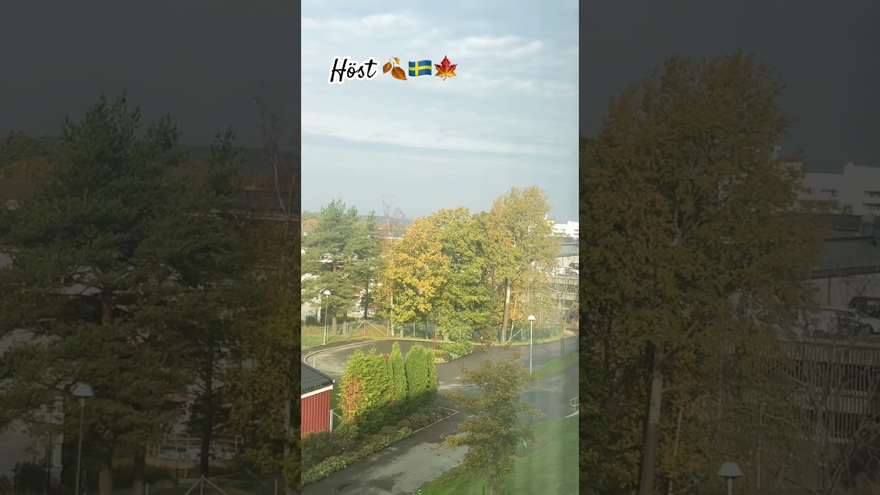 Beautiful and colourful 🍁🍂💖 