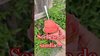 When Life Gives You Watermelon Make Sorbet