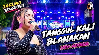 Download lagu TARLING TENGDUNG❗TANGGUL KALI BLANAKAN - DEVI ADINDA | CITRA NADA | GRIYA BRAWIJAYA LIVE MUARAREJA