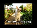 The 2012 Pet Tag!!