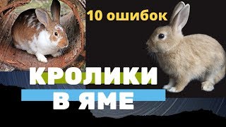 10 ошибок Кролики в яме. Кролиководство, содержание, разведение, выращивание кроликов в яме.