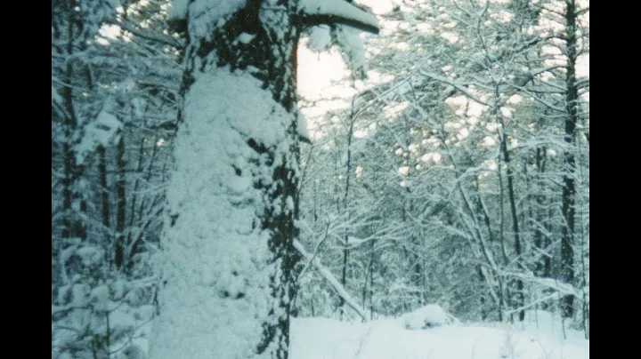 Full Audiobook: The Interlopers - Saki (H.H. Munro) - My Lector Series #17