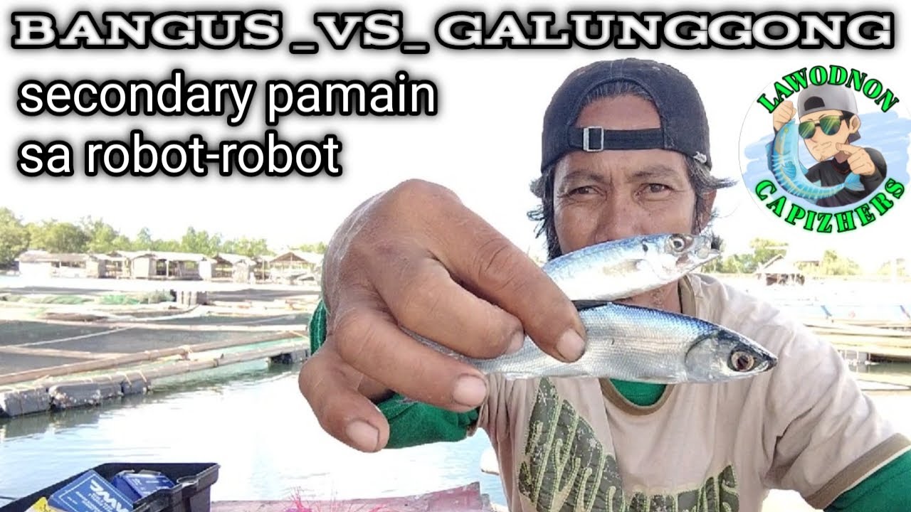 Bangus Vs Galunggong Secondary baits for Robot-robot in trolling- Capizhers