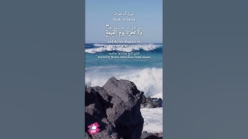 ربنا وآتنا ما وعدتنا على رسلك | سورة آل عمران #دعاء_ورسالة Surah Al-Imran