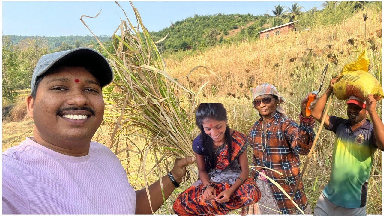 सासरोडी गेलो मामिंचा भात कापायला 😍 | कोकणातील सासुरवाडी आणि प्रेमळ माणसं |  S For Satish | (Kokan)