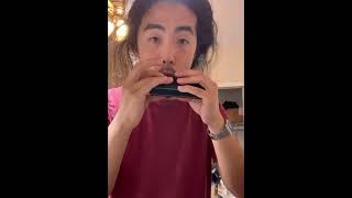 A Quick Harmonetta Video