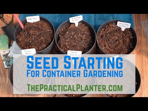 Seed Starting (for Container Gardening) - YouTube