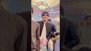 sw pet house New Video #mamufamily #swpethouse