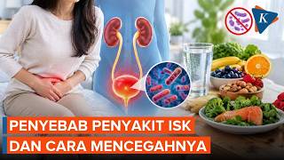 What Is a UTI? Its Main Causes and How to Prevent It