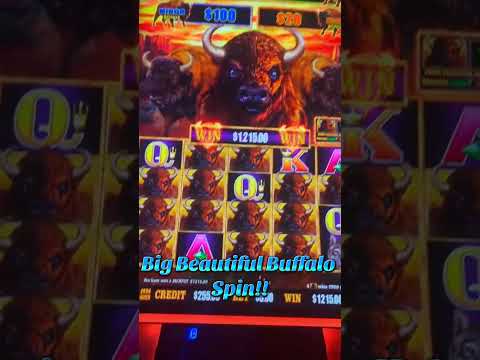 Salsa Casino Sombrero doble