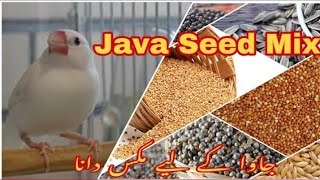 Celebrity Java Seed Mix / Java Ka Mix Dana / Java Sparrow / Java Birds / Java Setup. UZ_BIRDS_AVIARY Profile