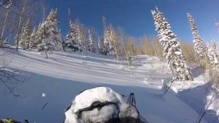 Skidoo Summit G4 850 Deep Snow Sunny Day Uinta Mountains January