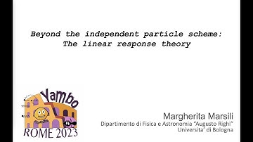 Beyond the independent particle scheme: The linear response theory