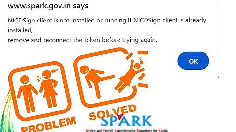 NICDSign client is not installed or running. -Problem Sloved