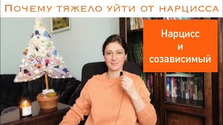 Почему тяжело уйти от нарцисса/Нарцисс и созависимый