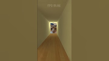 Cammy cat horde nextbot chase gmod